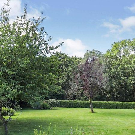 Woodland House B & B Wimborne Minster Bagian luar foto