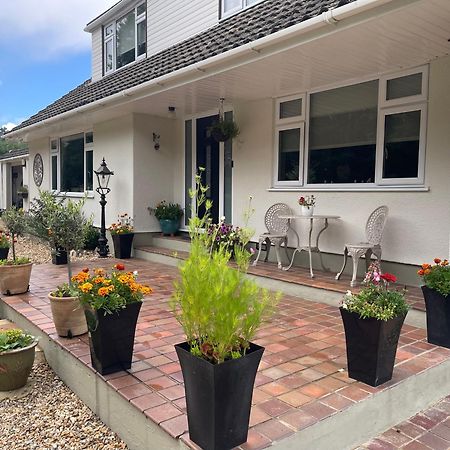 Woodland House B & B Wimborne Minster Bagian luar foto