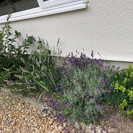 Woodland House B & B Wimborne Minster Bagian luar foto