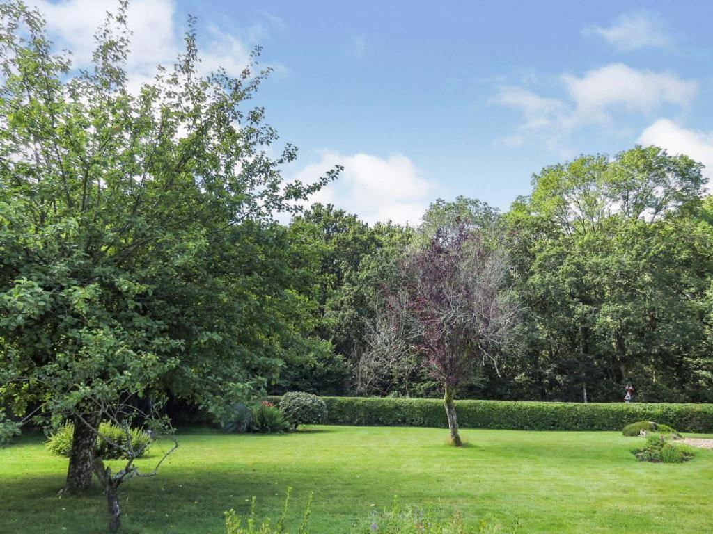 Woodland House B & B Wimborne Minster Bagian luar foto