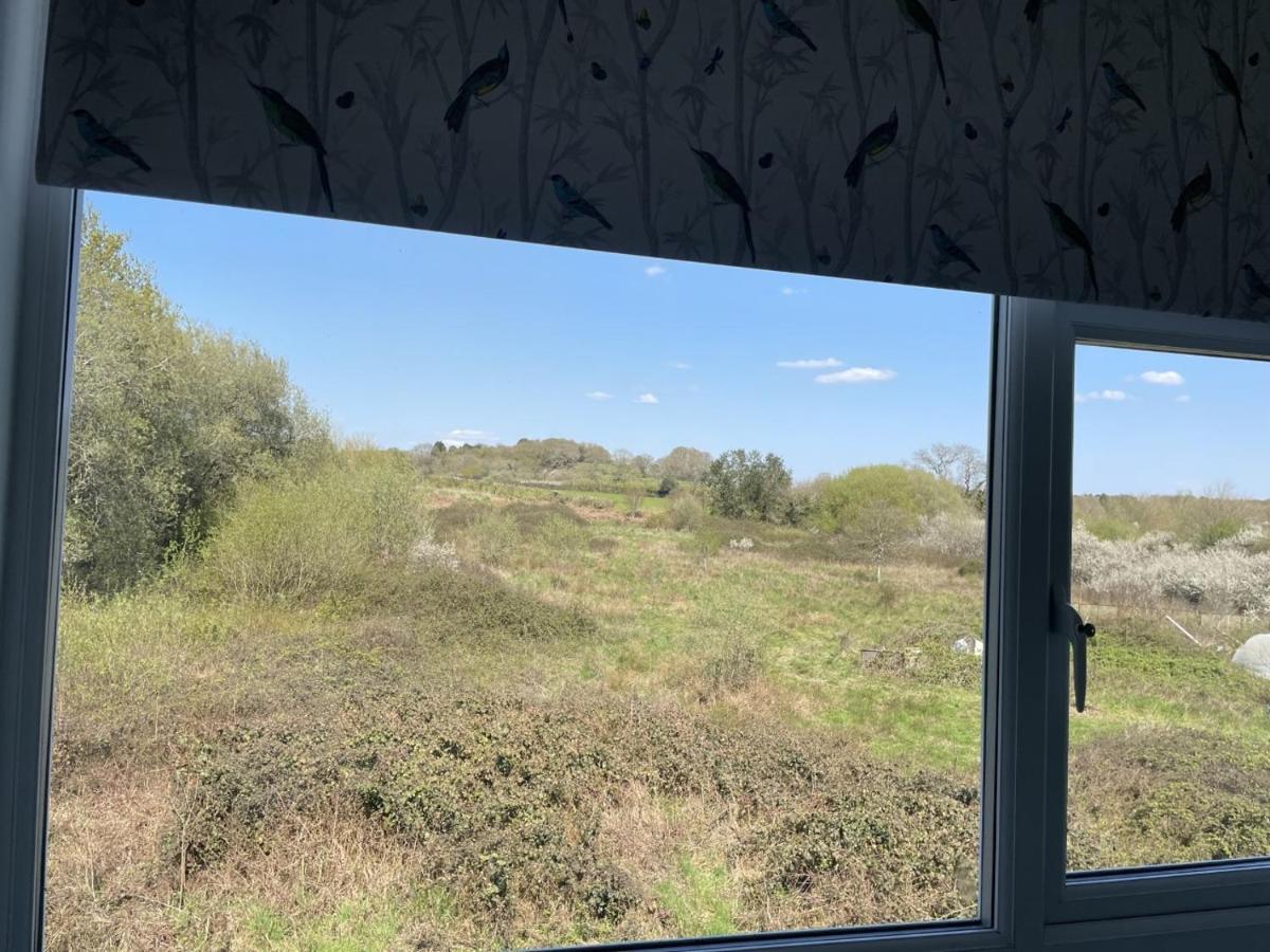 Woodland House B & B Wimborne Minster Bagian luar foto
