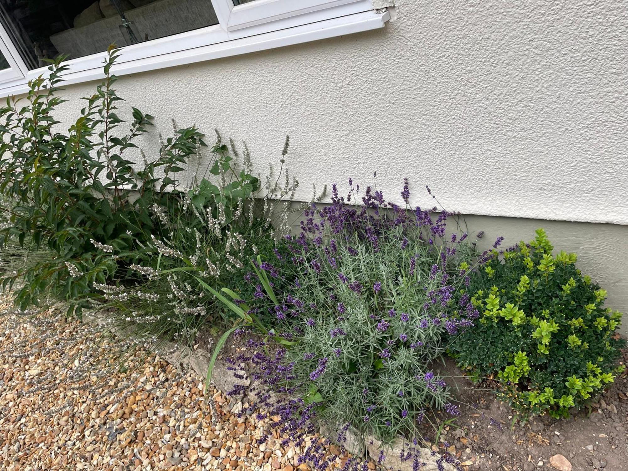 Woodland House B & B Wimborne Minster Bagian luar foto